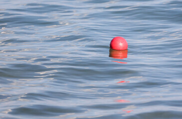 A red ball floats on the surface of the water