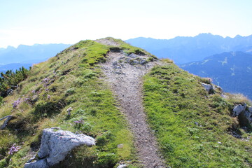A typical mountain view in the Austrian Alps in summer