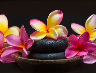 Obraz na płótnie Canvas frangipani flower on black stone