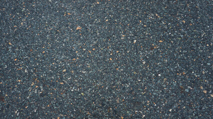 Fine-grained asphalt, in the afternoon after rain.
