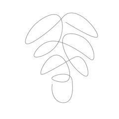Plants in pot drawing. Vector illustration