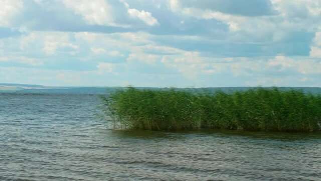Flock of birds is flying over the water in river on sunny summer afternoon.