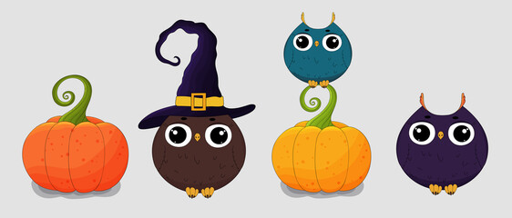 Halloween owl set. Cute owls collection. Cartoon animal and pumpkins. Owl in wich hat sitting on pumpkin. Happy Halloween caracter.Costume Party.
Vector  spooky Halloween Owls.