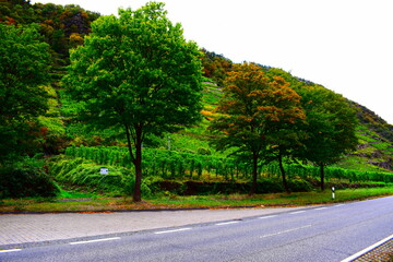 Herbst im Moseltal, Lehmen im Oktober