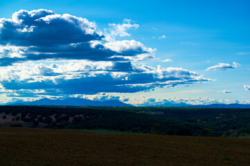 krajobraz drzewo niebo chmury widok