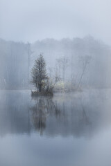 Torfy - jesienna impresja_02