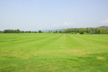 grass field and blue sky