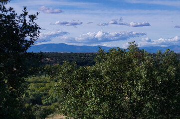 krajobraz widok drzewo jesień przyroda