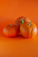 Organic orange pumpkins on a bright orange background