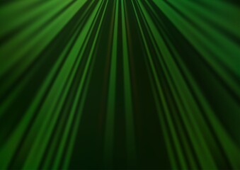 Light Green vector backdrop with long lines.