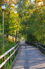 Fototapeta na wymiar Wooden walking paths in the park. Nature walks in October. Autumn in Anykšiai