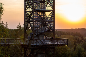 The observation tower. The Treetop Walking Path. Anykščiai Pinewood. Sunset in the forest. 