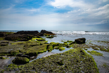 rocky coast of the sea