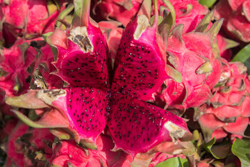 dragon fruit