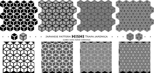Japanese pattern HISHI Trapa japonica_cubes sans fond arrange_seamless pattern_c01