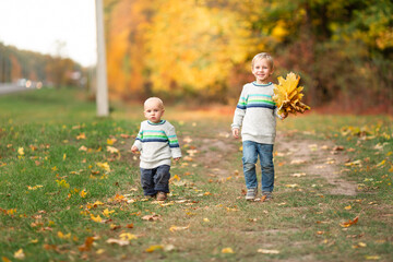 Happy little boys with autumn leaves in the park