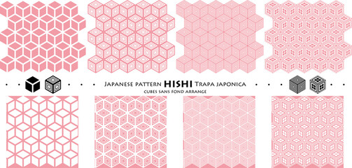 Japanese pattern HISHI Trapa japonica_cubes sans fond arrange_seamless pattern_c05
