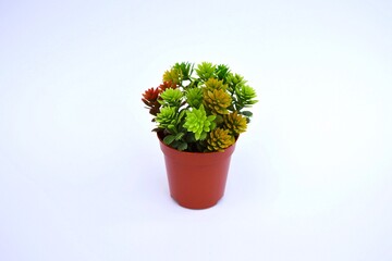plastic plant in brown vase on white background. isolated fake succulent with copy space