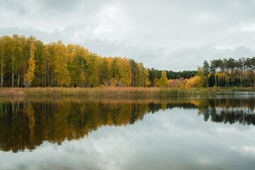 Landscape of a beautiful lake at the edge of the forest