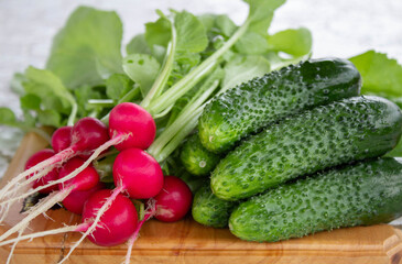 fresh radish and cucumber