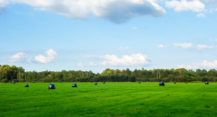 Meadow with black plastic packages of hay
