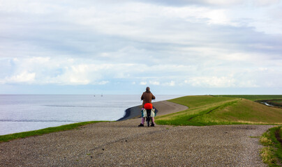 Obraz premium Landscape with dike along the Wadden sea in the Netherlands 