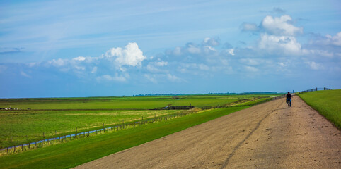 Fototapeta premium Landscape with cyclist riding on a dike in the Netherlands 