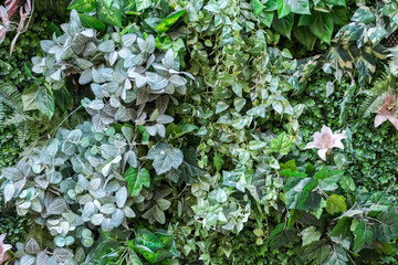 Artificial plant decoration in the garden