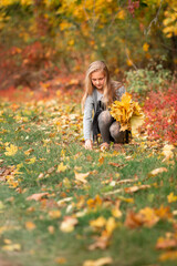 Beautiful little girl with autumn leaves in the park