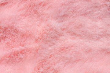 Pink fur texture top view. Coral fluffy fabric coat background. Winter fashion color trends feminine flat lay, female blog backdrop for text signs desidgn. Girly abstract wallpaper, textile surface. - obrazy, fototapety, plakaty
