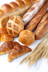 パンと麦穂（麦の穂と様々なたくさんのパンの集合）