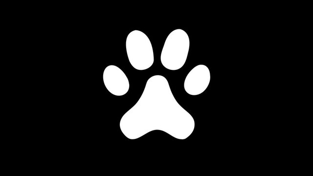 Animated animal paw icon. Alpha channel, 4K