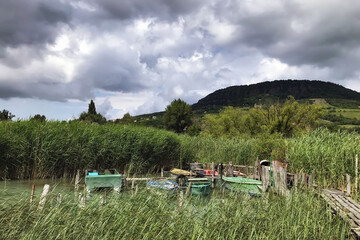 Fishing boats in the reeds.