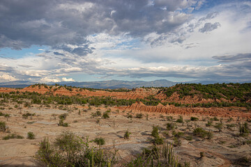 state desert landscape with trees tropical dry forest