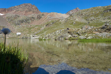 kleiner Bergsee Teich mit klarem blauem Wasser und gr&uuml;nen Pflanzen in den Bergen Alpen beim Wandern