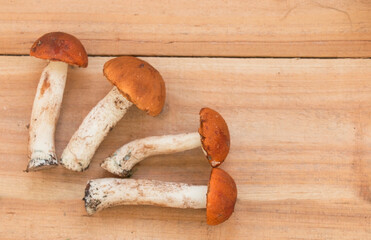 Mushrooms edible white on a wooden table, gourmet food