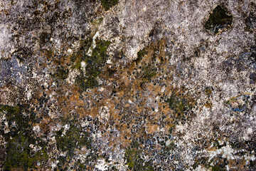 Black and white concrete with moss