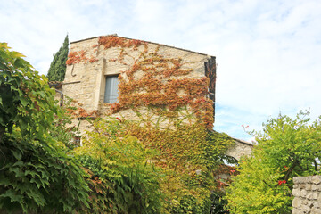 Fototapeta premium Vaison la Romaine Castle in France 
