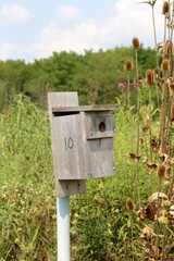 A close view of the wood squire box birdhouse in the field.