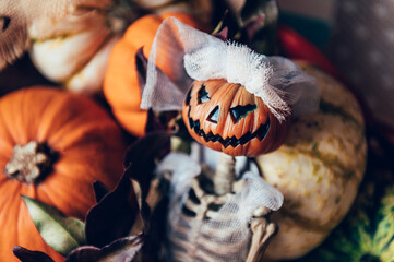 Different types of pumpkins and decorations in the box. Skeleton with pumpkin head in bridal oufit