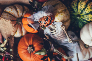 Different types of pumpkins and decorations in the box. Skeleton with pumpkin head in bridal oufit