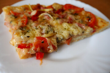 a slice of pizza made at home from different types of cheeses, tomatoes, sweet peppers, onions and salami lies on a white plate side view