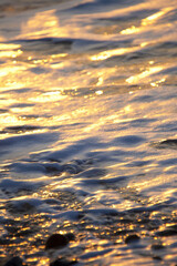 朝日に輝く瀬戸内の海辺