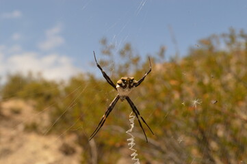 The beautiful Andes Mountains between Argentina and Chile 