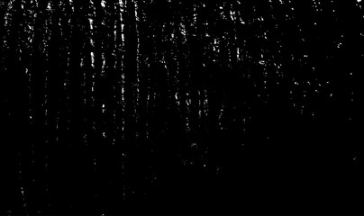 Cutted scars, chopped slits, groove saw notches, scabbed of coco bole. Solid damaged shell of palm tree stem. Old hard rind barrel, cracked husk pruning details. Broken crust of log shaft on 3D design