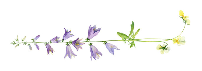 Obraz na płótnie Canvas Line of watercolor flowers bell and violets on white background