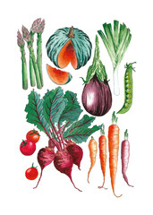Organic healthy vegetables set watercolor illustration