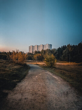 sunset in the city