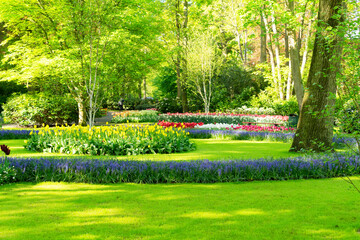 Fototapeta premium fresh lawn with flowers