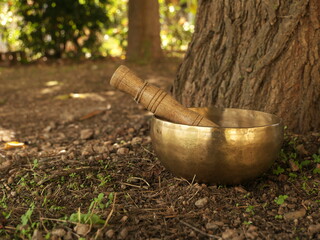 Singing bowl placed at the bottom of a tree trunk during the fall season